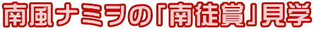 南風ナミヲの「南徒賞」見学